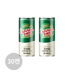 캐나다드라이 진저에일 250ml 30캔 SJ