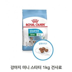 소형 강아지 임신견 영양 사료 1kg 베이비독 개밥