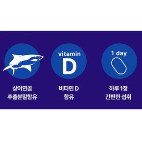 콘드로이친 상어연골추출물 비타민D 500mg x 60정 2개월분