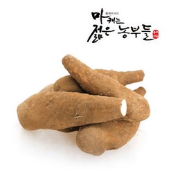 [산지직송] 마 캐는 젊은 농부들 산마 10kg (특) - SSG.COM