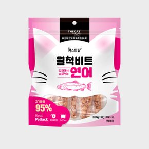 더캣 캣스토랑 월척비트 연어 300g 고양이트릿