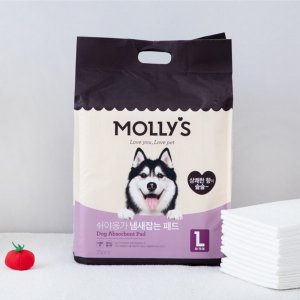 MOLLY'S 몰리스 냄새잡는 패드 L 35매