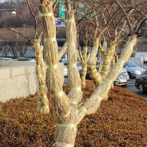 볏짚 이엉 (나무월동, 나무보온)