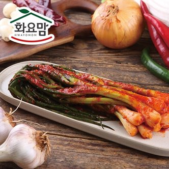 신세계라이브쇼핑 [화요맘] 싱싱한 국내산 재료로 만든 파김치3kg