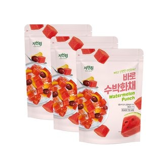 웰팜 [자연원] 바로수박화채 500g x 3팩