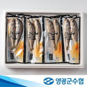 삼해진미 법성포 영광굴비 진공포장 10팩 20미 1.4kg