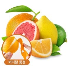 참다올 [구매시 커터칼 증정]오렌지/자몽/레몬 외 모음전