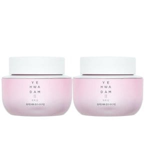 예화담 물어린 매화 생기 아이크림 25ml 2개