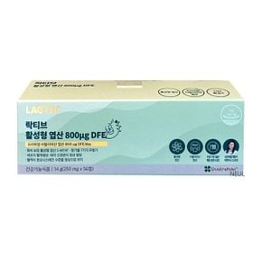 활성형 엽산 800g DFE 250mg x 56정