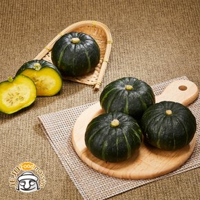 포슬포슬 제주 미니밤단호박 3kg (혼합과, 실중량)