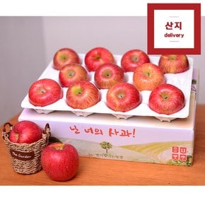 [명절 후 배송][경상북도]아삭한 경북사과 3kg 10~12과 정품 산지직송