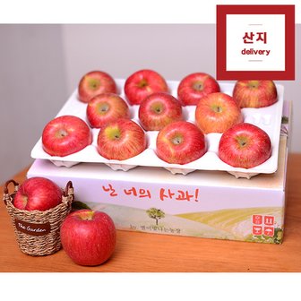  [경상북도]아삭한 경북사과 3kg 10~12과 정품 산지직송