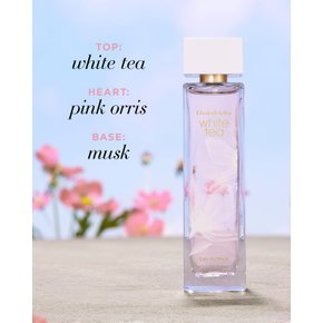 [한정수량가격인하]화이트티  오 플로럴 EDT 100ml 스폐셜세트(+전구매사은품 추가증정)