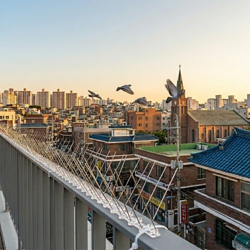 추가이미지1