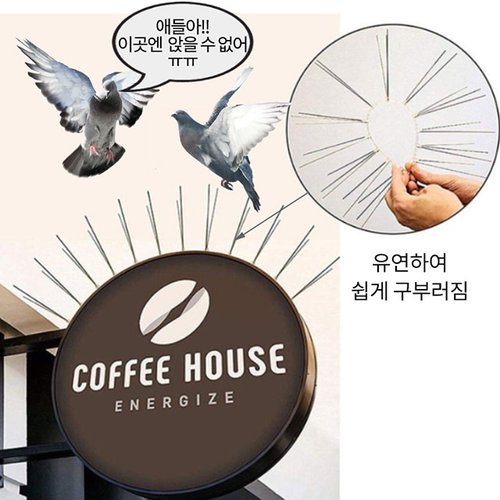 추가이미지5