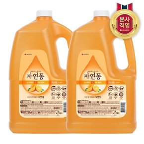 자연퐁 주방세제 오렌지 3.04L x 2개