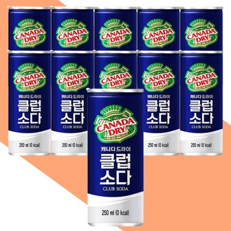  캐나다드라이 클럽소다 250ml 10개