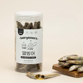 열빙어트릿 65g 동결건조 간식 강아지간식 고양이간식 수제간식 열빙어간식