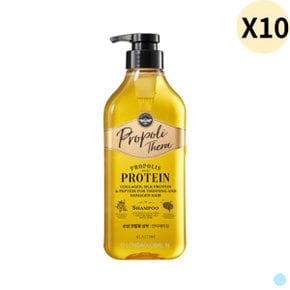 엘라스틴 프로폴리테라 샴푸 힘없는 모발 500ml X10