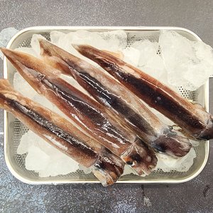 인정식탁 [착한어부] 초코오징어 1kg