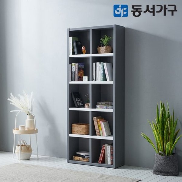 확대된 대표 image1