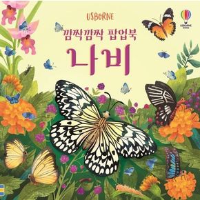 깜짝깜짝 팝업북 나비 깜짝깜짝팝업북나비 책
