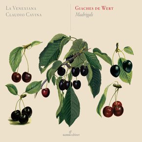 GIACHES DE WERT - MADRIGALS/ LA VENEXIANA, CLAUDIO CAVINA GLOSSA CABINET 데 베르트: 마드리