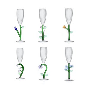 BOTANICA BOTANICA set 6 pcs optical flute 7239606