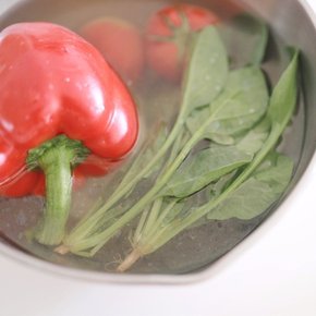 [1+1]홀리데이에디션 칼슘파우더 잔류농약제거 과일/채소세정제 150g
