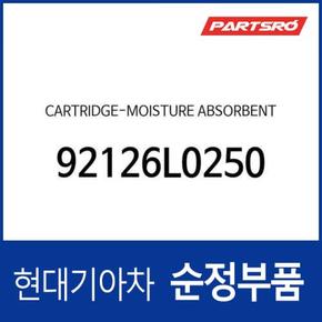 카트리지-모이스처 업소번트 (92126L0250) 더 뉴 팰리세이드