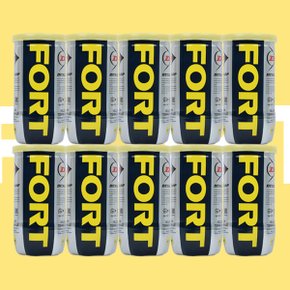 공인 시합구 테니스공 포트 FORT 10캔