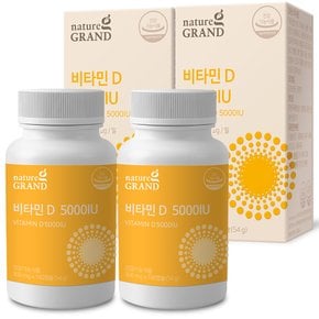 네이처그랜드 비타민D 5000IU 300mg x 180캡슐 2박스 12개월분 비타민디 비타민D3