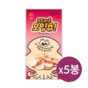 [썬푸드] 먹을수록 끌리는 부드러운 오잉-츄 40g×5봉