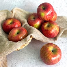 [더조은] 경북 부사 사과 가정용 10kg (과수선택)
