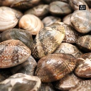 참다른 당일손질 바지락 1kg