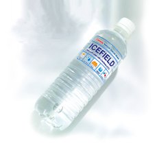 아이스필드 워터 캐나다 빙하수 500ml x 24입