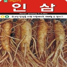 국내산 햇종자로 국내 최초 판매개시한 인삼 씨앗 100립 (냉장보관)