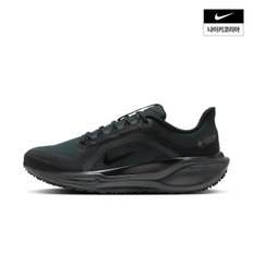 코리아공식]남성 나이키 페가수스 41 GORE-TEX FQ1356-001