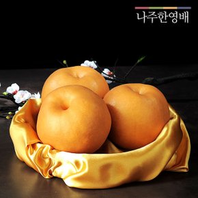 나주한영배 7.5kg (8-10과)