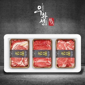 특선 숙성한우 1+등급 꽃등심 구이 선물세트 2호 (꽃등심+안심+채끝/팩당400g/총1.2kg)냉장