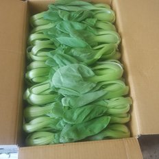 청경채 1kg GAP인증