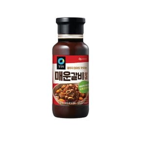 청정원 매운갈비 양념 500g 12개