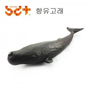 모형 향유고래 동물교구 피규어 수집품