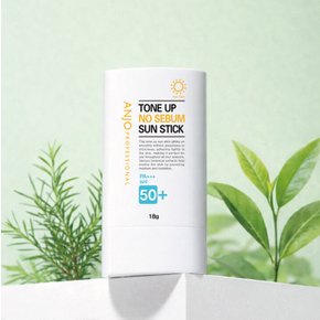 간편한 톤업 노세범 선스틱 18g
