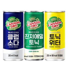 캐나다 드라이 250ml X 30캔 진저에일+클럽소다+토닉워터 (각 10캔씩)