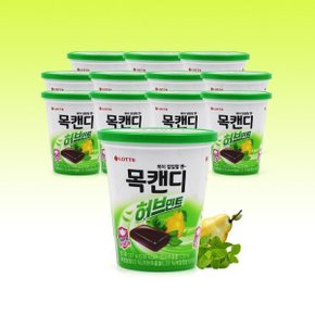 롯데제과 용기형 목캔디 허브민트 122g x 12개_