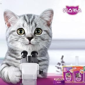 YEW_위스카스팩 고양이사료 시니어 참치 80g