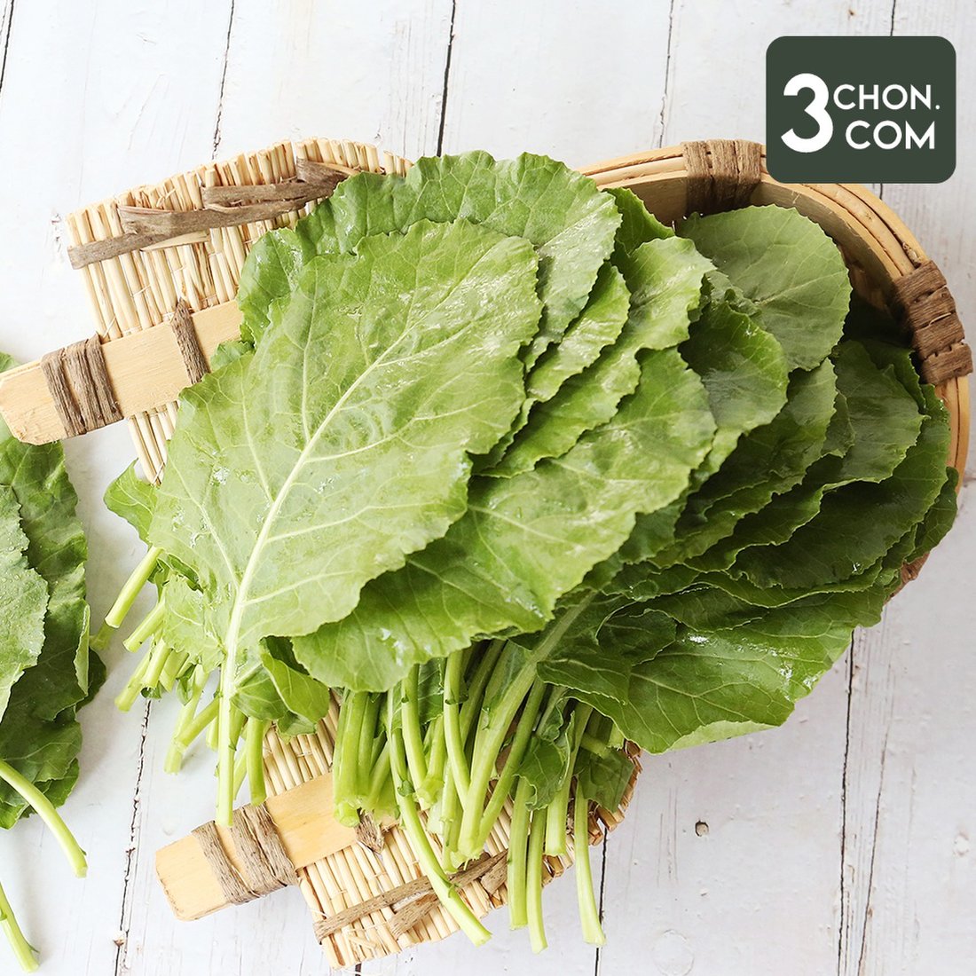 용천 유기농 케일 1kg, 믿고 사는 즐거움 SSG.COM