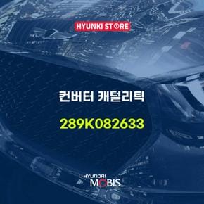 컨버터 캐털리틱 (289K082633)