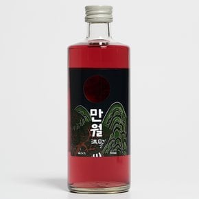 만월 24도 360ml 복분자 소주 증류주(케이스포함)